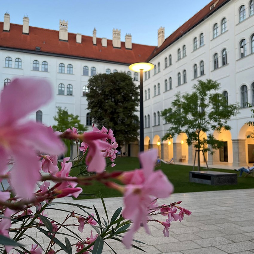 Wiener Altstadt Oasen
